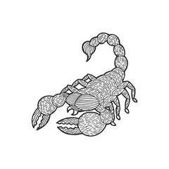 scorpio zodiac astrology horoscope symbol sign logo icon design in water element color art background watercolor painting cartoon drawing illustration fortune