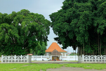 Two old banyan trees in Alun-alun Selatan which have historical value related to the existence of...