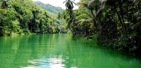 River in the Middle of Jungle.