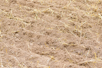 Fresh tillage background
