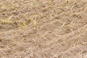 Fresh tillage background