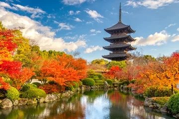 Fototapeten Kyoto-Japan-Pagode © Kovcs