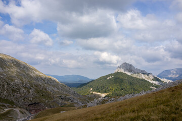 Beautiful natural landscape in the summer time