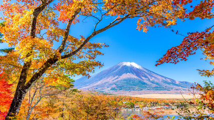Mt. Fuji, Japan with Fall Foliage