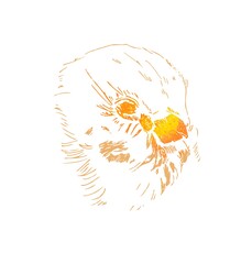 A Tree sparrow sketch by pencils