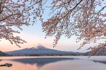 Spring Dawn Mt. Fuji
