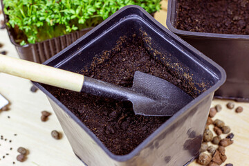 Black flower pot with a shovel. Home gardening concept.