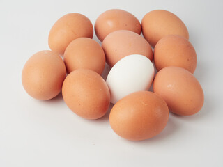 Chicken eggs in containers on a white background.    