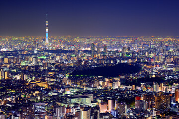 Naklejka premium Tokyo Cityscape