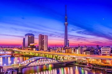 Fototapeta na wymiar Tokyo, Japan City Skyline