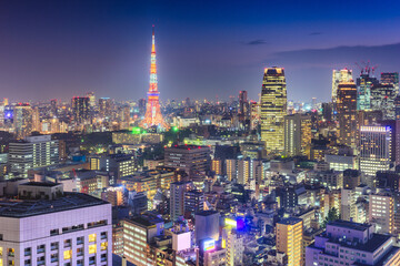 Tokyo, Japan cityscape and tower