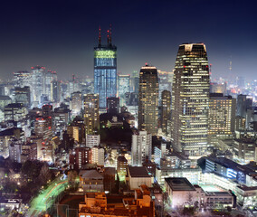 Fototapeta premium Tokyo