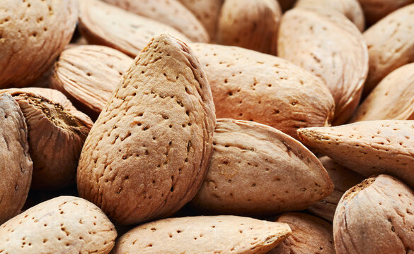 Close up picture of raw shell almonds, selective focus.