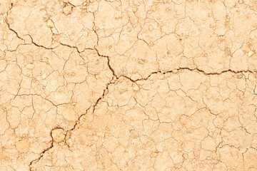 Top view of crack of dry soil
