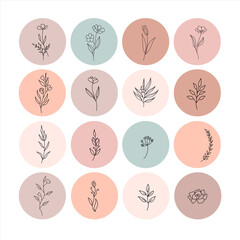 hand drawn vector set flower icons templates in circles, - social media story highlights cover in trendy linear style