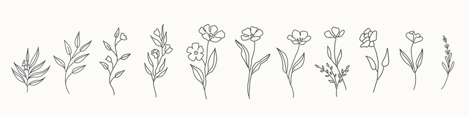 Set of cute hand drawn flowers, branches, leaves. Vector line arrangements for greeting card or invitation design