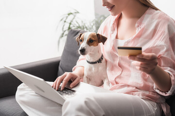 Cropped view of happy woman holding credit card near dog and laptop while online shopping at home