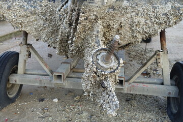 Bernacles sur le moteur d'un bateau