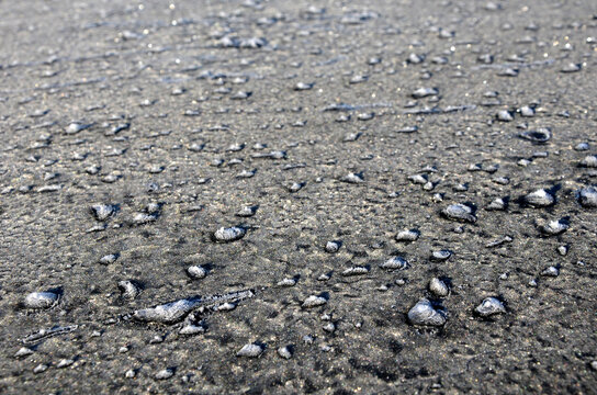 Icing On The Asphalt Roof. Old Cottages In The Mountains Often Have Asphalt Roofs. Flame-fused Bituminous Strips Were Often Layered. In Summer The Asphalt Dripped Down With Heat