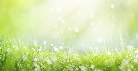 Juicy lush green grass on meadow with drops of water dew sparkle in morning light, spring summer...