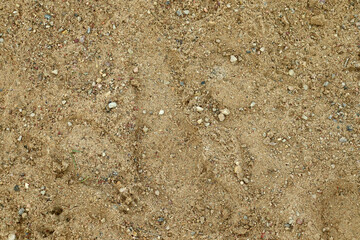 beach sand for background and design grain of sand texture