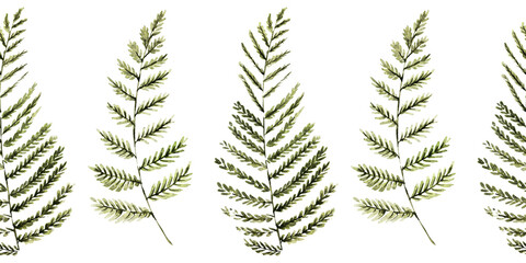 Naklejka premium Watercolor seamless border with stylized fern leaves