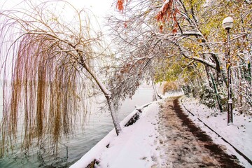 Winter season at  Herastrau park Bucharest,Romania.A maginificent landscape covered with snow