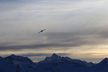 crown in the mountains