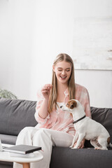 cheerful woman feeding jack russell terrier with pet food in living room