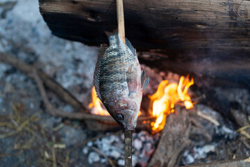 Grilled fish The way of living in the forest