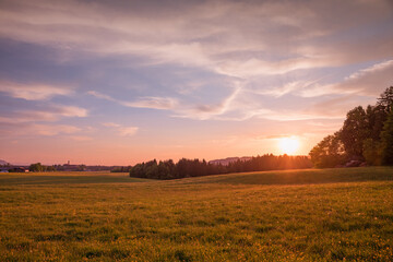 Obraz premium sunset over beautiful rural bavarian landscape, with buttercup meadow and cloudy sky, warm tones