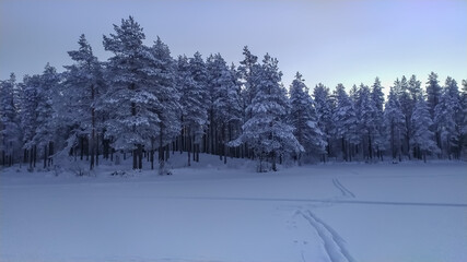 Russia, Karelia, Kostomuksha.The ski trail leads to the forest. January 04, 2021.