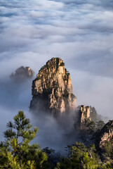 View of the clouds and the pine tree at the mountain peaks of Huangshan National park, China. Landscape of Mount Huangshan of the winter season. UNESCO World Heritage Site, Anhui China.