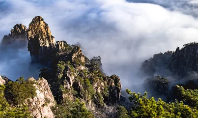 Peel and stick wall murals Huangshan View of the clouds and the pine tree at the mountain peaks of Huangshan National park, China. Landscape of Mount Huangshan of the winter season. UNESCO World Heritage Site, Anhui China.