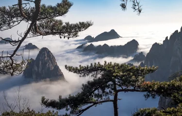 Papier Peint photo Monts Huang View of the clouds and the pine tree at the mountain peaks of Huangshan National park, China. Landscape of Mount Huangshan of the winter season.
