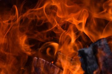 Fototapeta premium Feuer und Flamme in einem sinnlichen Spiel