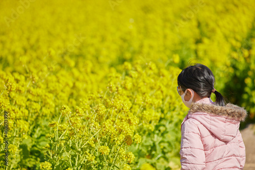 春の満開の菜の花の畑で遊んでいる可愛い子供 Wall Mural Zheng Qiang 春の満開の菜の花の畑で遊んでいる可愛い子供 Wall Mural Zheng Qiang