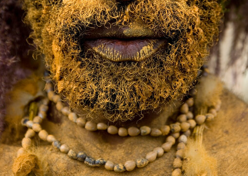 Chimbu tribe man with the body covered in yellow mud, Western Highlands Province, Mount Hagen, Papua New Guinea