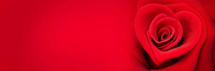 Red rose in the shape of a heart on panoramic red background, valentines day web banner