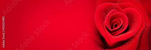 Red rose in the shape of a heart on panoramic red background, valentines day web banner