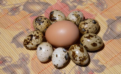 Quail eggs in a nest.