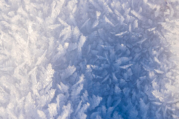 Snowflakes in a snowdrift close-up with side lighting