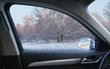 View from the car to the winter birch forest