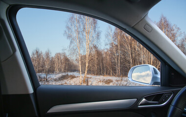 View from the car to the winter birch forest