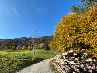 Fototapeta na wymiar Wanderweg auf dem Heuberg zum Kloster Benediktiner Abtei St. Georgenberg in der Nähe von Schwaz Vomp Fiecht Stans Tirol Österreich im Herbst