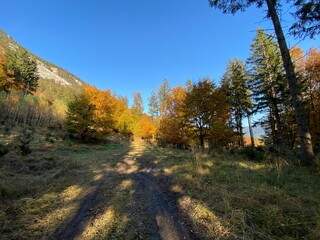 Wanderweg auf dem Heuberg  zum Kloster Benediktiner Abtei St. Georgenberg in der Nähe von Schwaz Vomp Fiecht Stans Tirol Österreich im Herbst