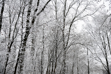Schneelandschaften