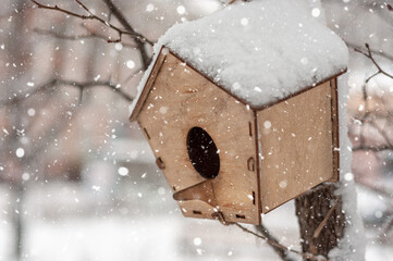 A house for birds .Caring for birds in winter.