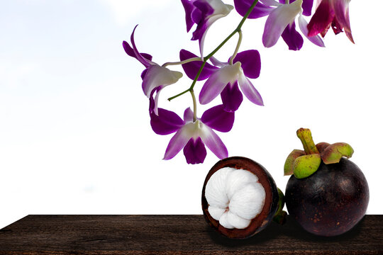 purple orchid isolated on white background with mangosteen fruit clipping path
