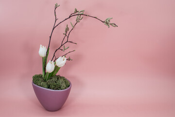 Image modern art flowers decoration ikebana for apartment, office, postcard, poster, Valentine's Day invitations, magazines. Floral decoration in the flower pot with tulips, branches isolated on pink 